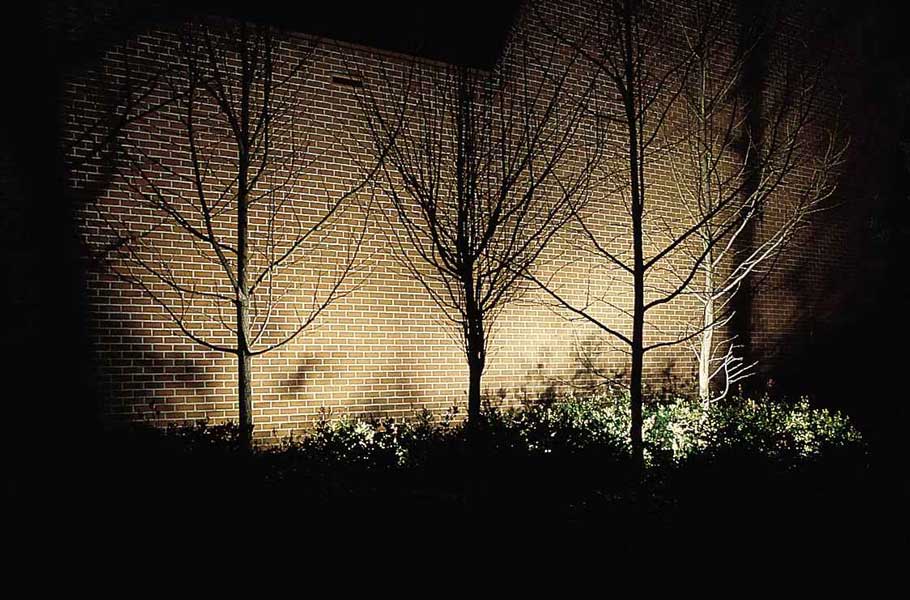 Make your garden a spectacle with LED outdoor Lighting