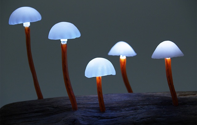 LED Mushroom Lights