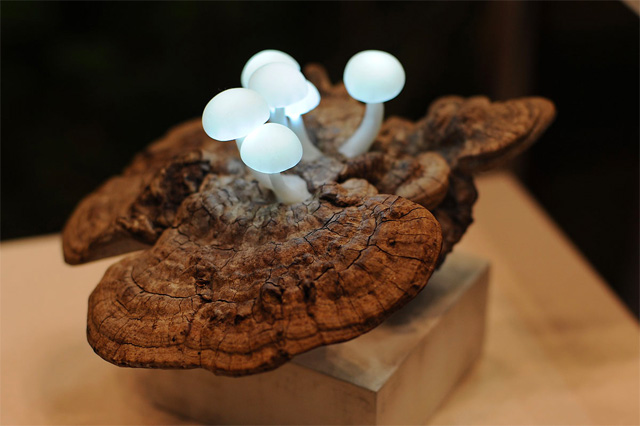 White LED Mushroom Lights