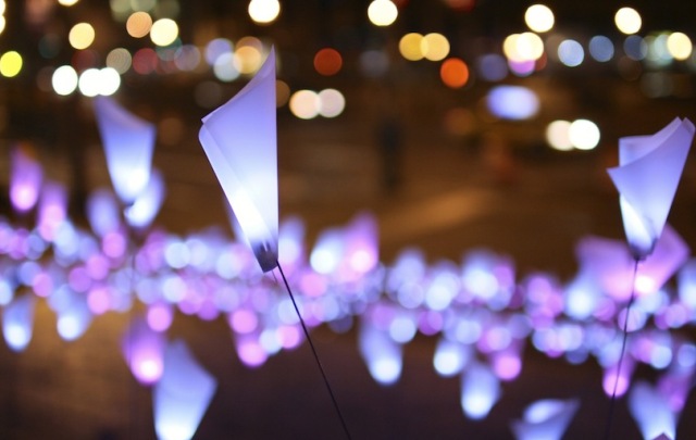 Tribeca LED Light Flowers