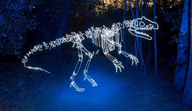 Dinosaur - LED Light Painting By Darren Pearson