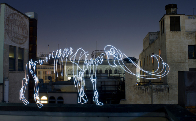 Elephant - LED Light Painting By Darren Pearson