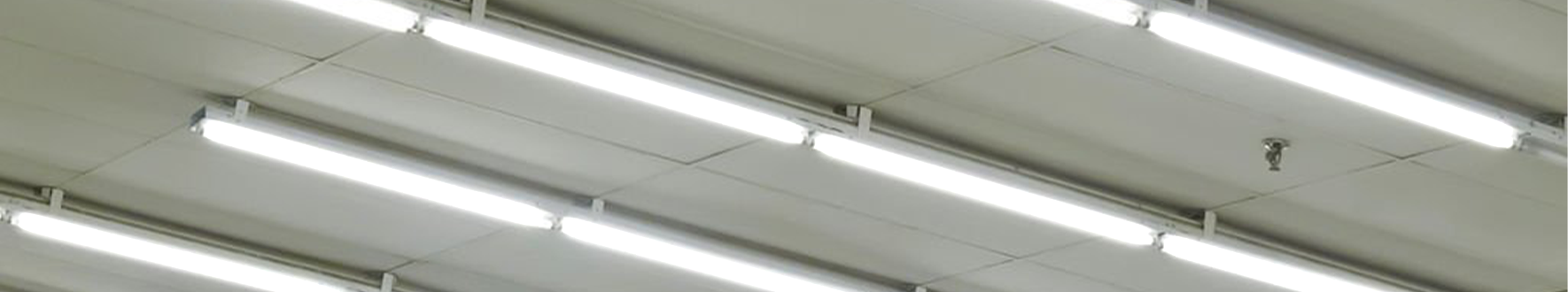 T5 LED Tubes