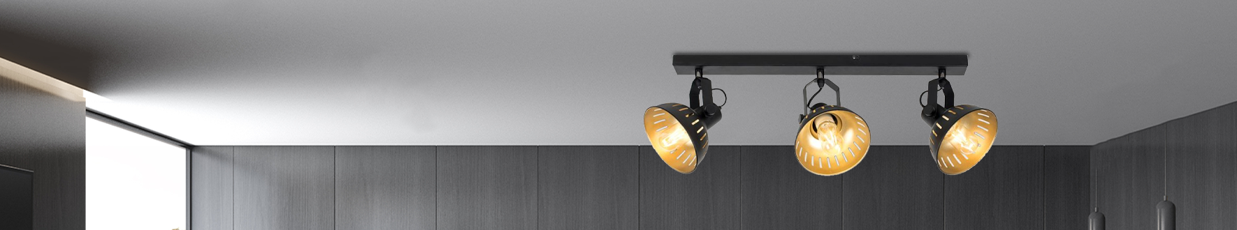 Industrial Ceiling Light